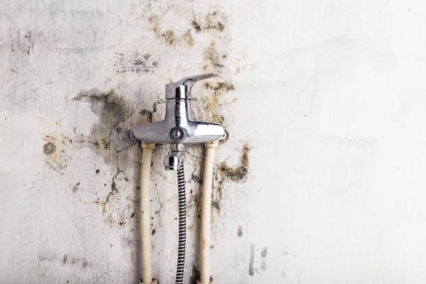 Water Damage Restoration in Boise, ID