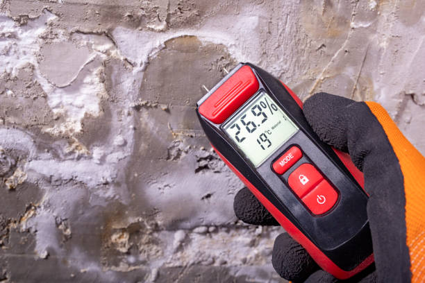 Best Crawl Space Mold Removal  in Boise, ID